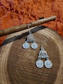 Silver color earrings with 2 coins
