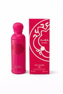مجموعة عطور ميني للمناسبات (12 حبة)