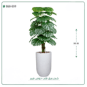 شجرة ورق قلب اصطناعية ( ارتفاع 160 سم ) حوض فيبر