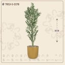 عرض شجرة زيتون صناعية ( ارتفاع 160 سم ) حوض بلاستيك