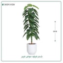 شجرة فيلود صناعية ( ارتفاع 180 سم ) حوض فيبر
