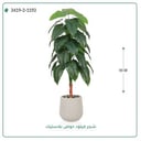 شجرة فيلود صناعية ( ارتفاع 155 سم ) حوض بلاستيك