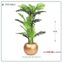نخل أريكا صغير (3 فروع) بمركن بلاستيك دائرى
