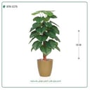 شجرة ورق قلب اصطناعية ( ارتفاع 135 سم ) حوض بلاستيك