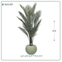 شجرة أريكا صناعية ( ارتفاع 185 سم ) حوض فيبر