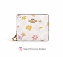 Snap Wallet In Signature Canvas