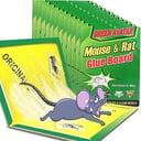 Green plate mouse glue, 10 pieces