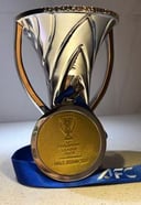 مجسم كأس النخبة المجوف مقاس 16 سم مع ميدالية النخبة 2026