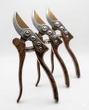OUD FANCY CLIPPERS