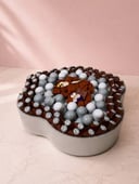 Chocolate Carame Coconut Slices