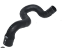 HOSE-RADIATOR,LOWER