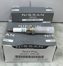 Iridium Spark Plug