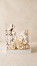 Luxury White Preserved & Dried Flower Display Box