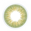 عدسات جونسون فريش جرين اليومية Define Fresh Green