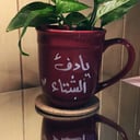 كوب الشتاء