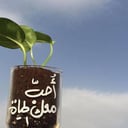 غرسة راقية | كمية محدودة ✨