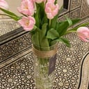 باقة التوليب 🌷