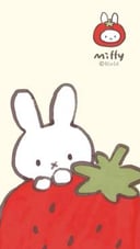 Miffy gift
