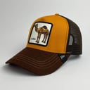 CAMEL