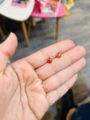 Lady bug 🐞 earring 