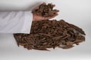 كلمنتان بونتيانك قديم اشهب 