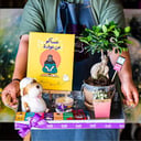 بكيج العيد الفاخر بنبتة البونساي 