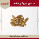 محسن مروكي MS-1
