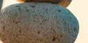 نسخة من Natural Honey with Honeycombs