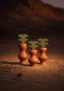 مجموعة نخلات سعفة - SAAFAH Palms Collection 