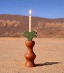 Mini SAAFAH  - سعفة الصغيره