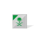بروش سيفين ونخلة - فضي