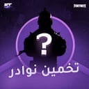 تخمين ضمان نوادر