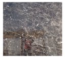 Coffee Brown Marble