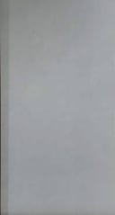 Porcelain Tiles R1202