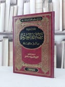 جمع جهود الحفاظ النقلة بتواتر زيادة العمر بالبر / لطفي محمد الصغير