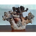 ONE of a KIND Natural Root display 