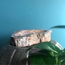 petrified wood ashtray