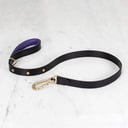 B&P dog leash