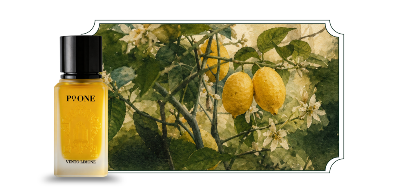 عطر فينتو ليمون من بي أو ون 100 مل | VENTO LIMONE Perfume by PoOne 100ml