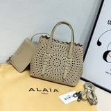 شنطة نسائية ماركة الايا - بيج