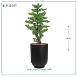 شجرة بونساي صناعية ( ارتفاع 220 سم ) حوض فيبر اسطواني - اسود رش