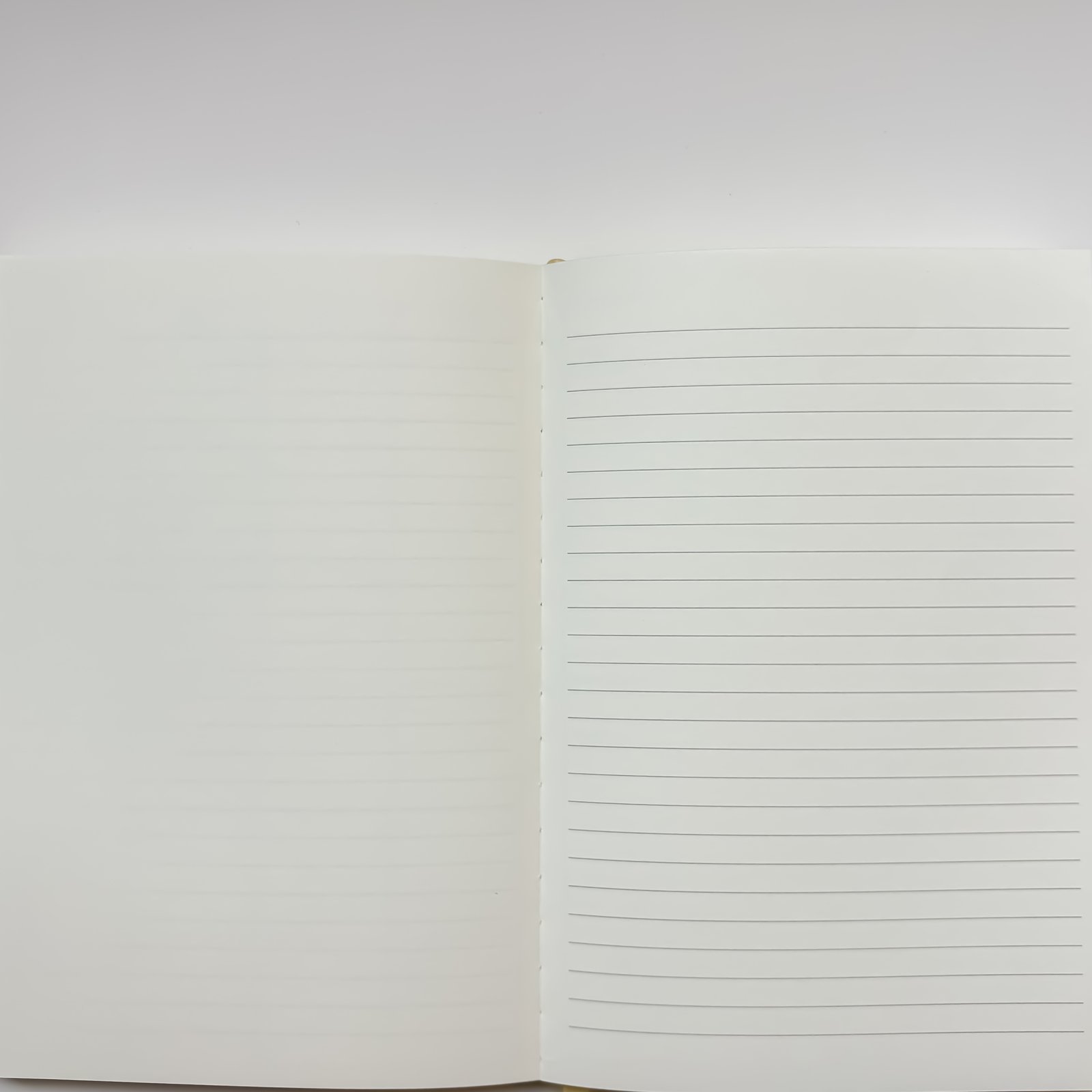 أجندة 2026 - صورة 6