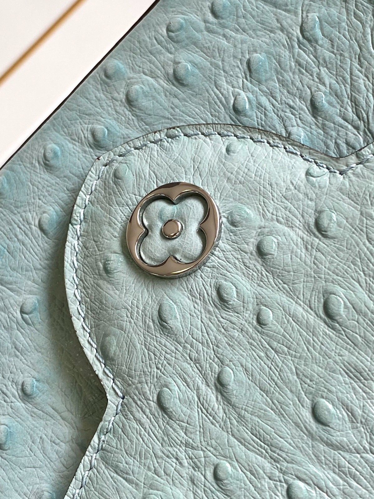 Ostrich baby blue LV - صورة 9