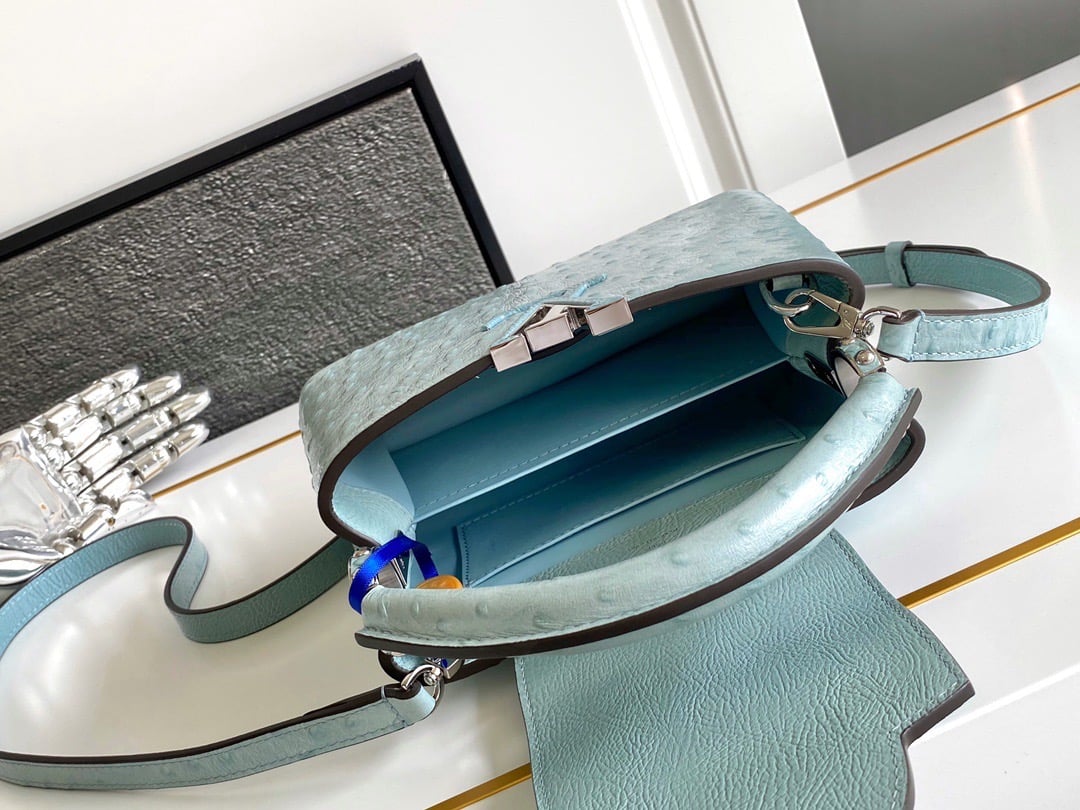 Ostrich baby blue LV - صورة 2