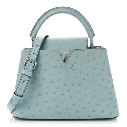 Ostrich baby blue LV - صورة 1