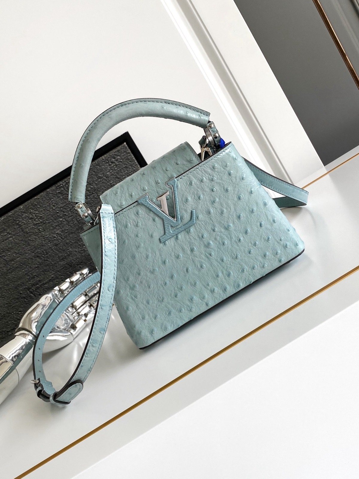 Ostrich baby blue LV - صورة 5