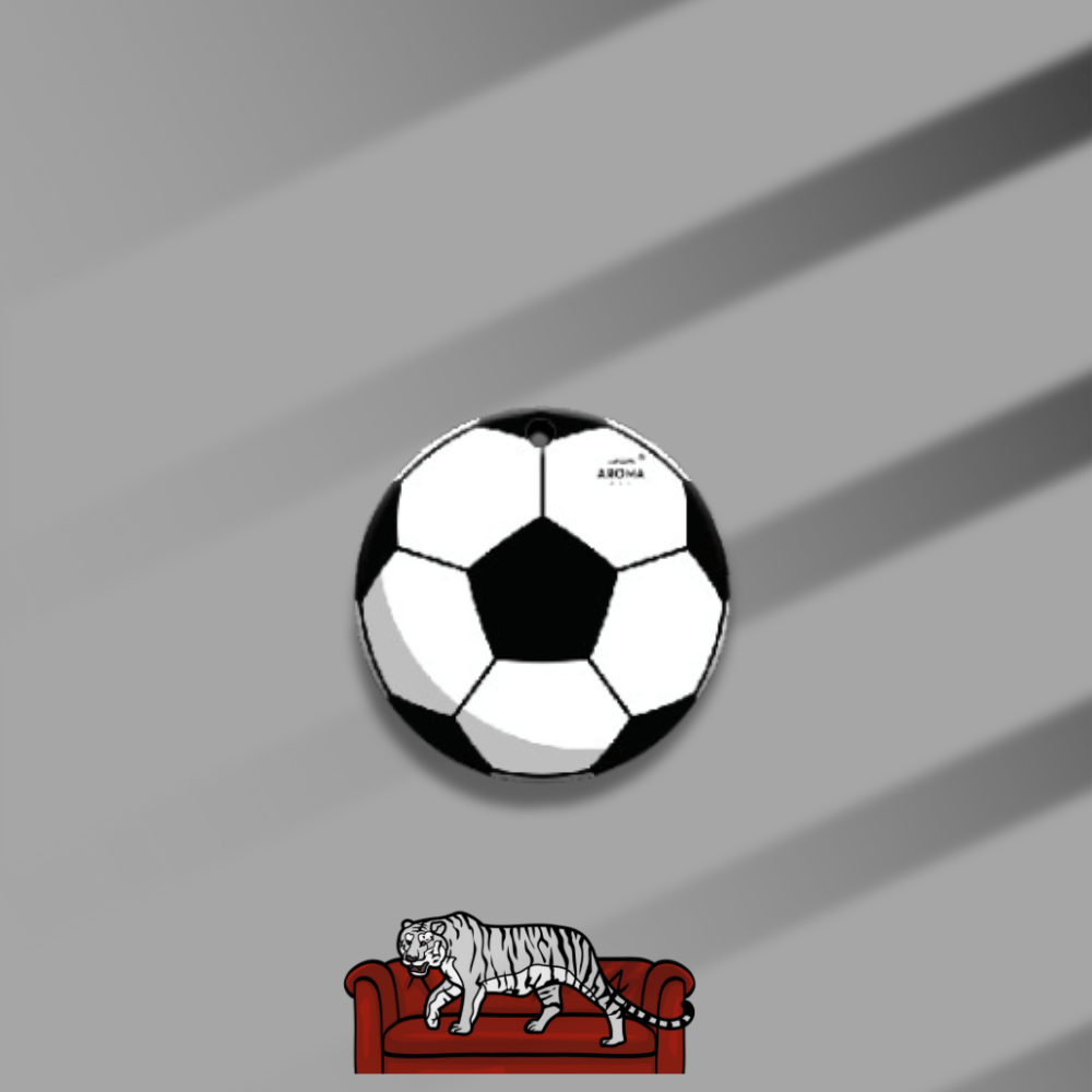 FootBall - صورة 3