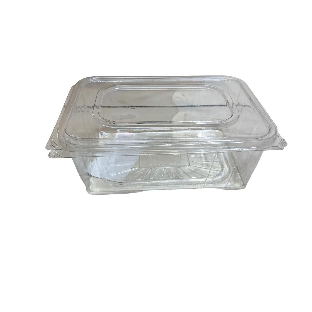 Rashid Rectangular Clear Plastic Containers with Hinged Lid - Image 1