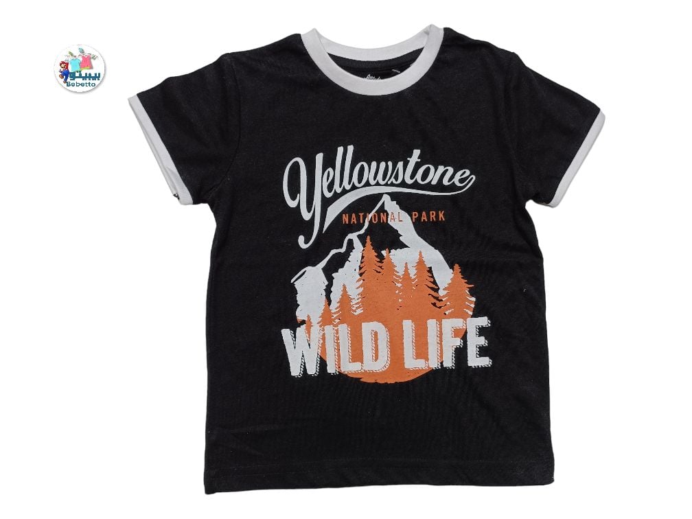 BOYS T'SHIRT 250C \ E060790 - Image 1