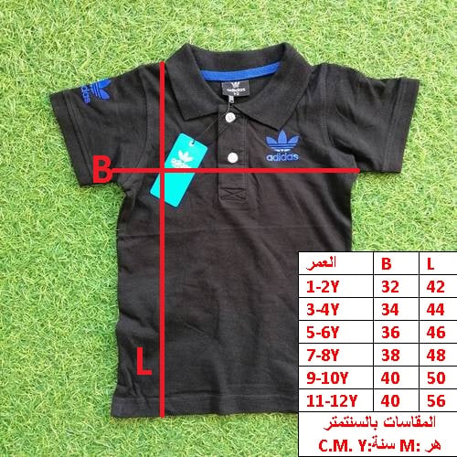 250B\A815120 - صورة 2